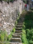 DSC07899