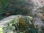 DSC07919