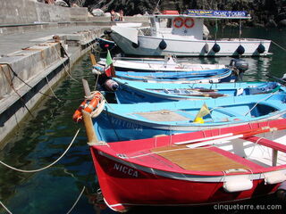 Vernazza Cinque Terre