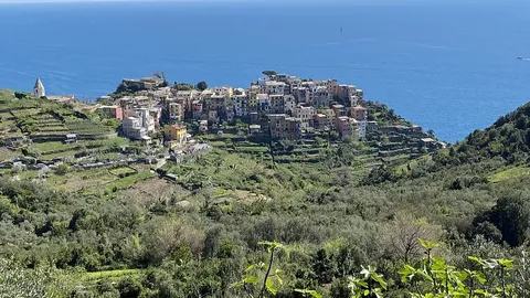 corniglia town 2