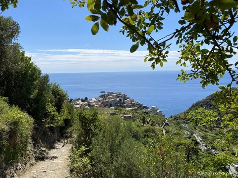 hiking path corniglia