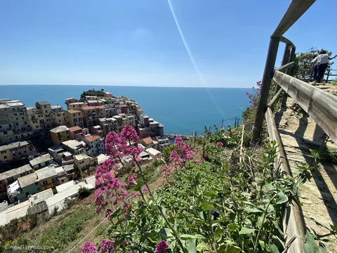 manarola footpath