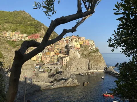 manarola harbour
