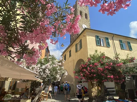 monterosso old town