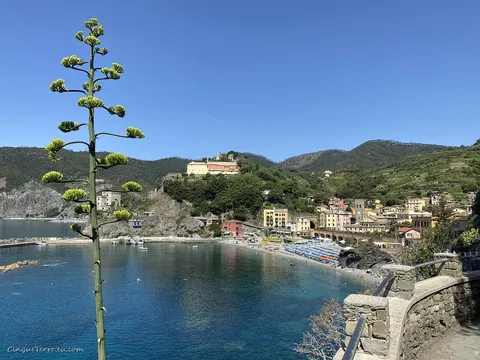 monterosso panorama footpath