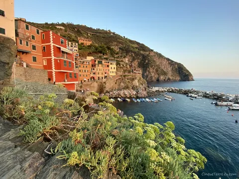 riomaggiore port