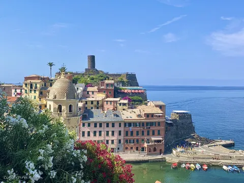 vernazza flowers