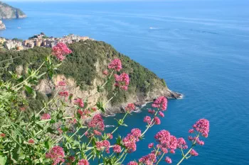 corniglia cinque terre